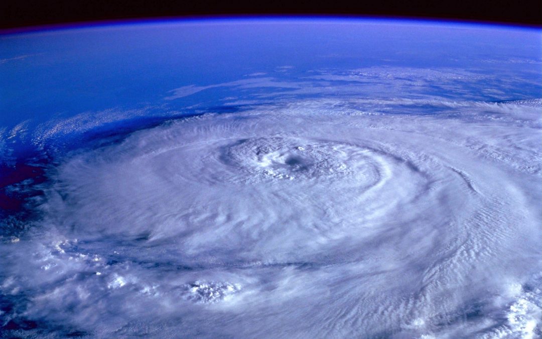 hurricane harvey data recovery